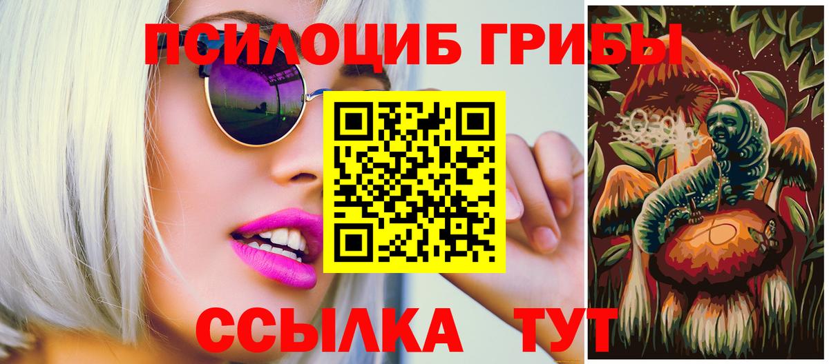 Псилоцибиновые грибы Psilocybine cubensis Кандалакша